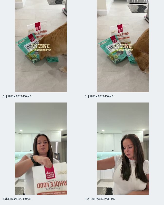 Image 4: The Honest Kitchen video contact sheet showing a dog beside packaged products at 0 and 2 seconds, a woman with a product box in a kitchen at 5 seconds, and the woman looking downward with her arm extended and no box visible at 10 seconds